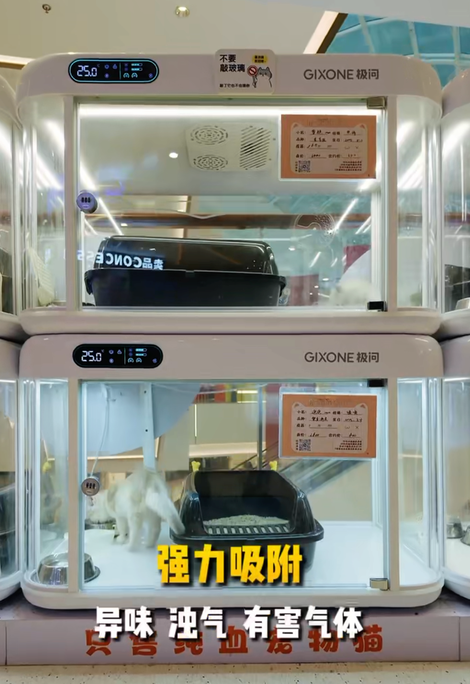 朋友提供的 GIXONE 极问宠物舱参考照片